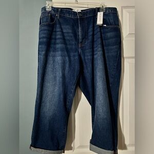 Lane Bryant Capri jeans